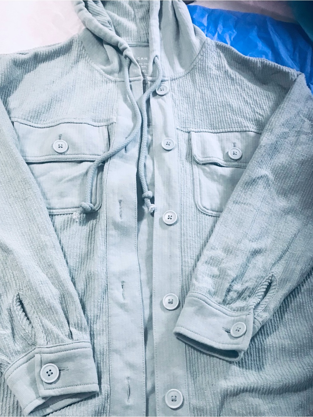 American Eagle Outfitters Light Aqua Corduroy Hoodie